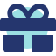 Geschenk Icon